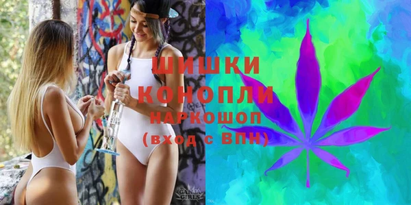 PSILOCYBIN Туринск
