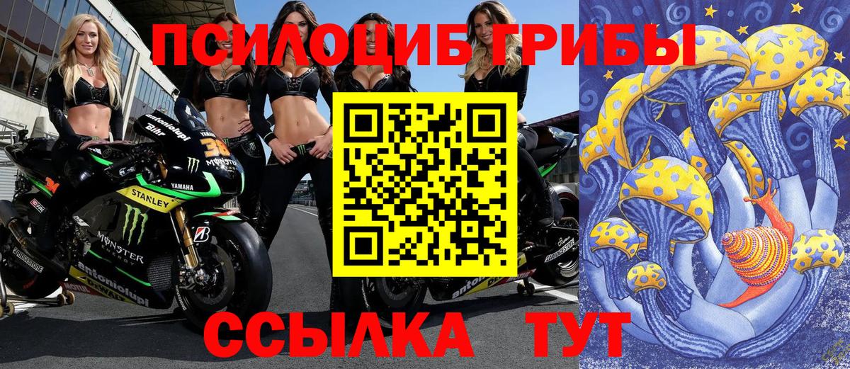Галлюциногенные грибы прущие грибы Фурманов