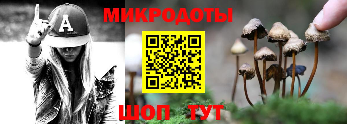 Псилоцибиновые грибы мицелий  Псилоцибиновые грибы Psilocybe  Вход с VPN  Фурманов 