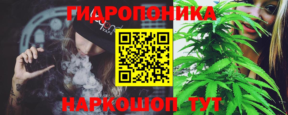 Канабис гибрид Фурманов